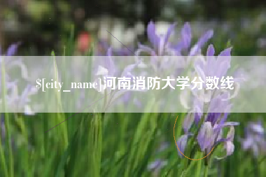 邳州河南消防大学分数线