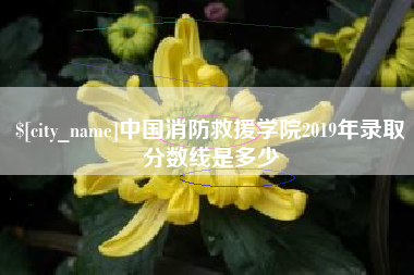 邳州中国消防救援学院2019年录取分数线是多少