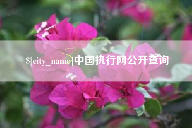 邳州中国执行网公开查询