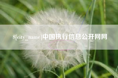 邳州中国执行信息公开网网