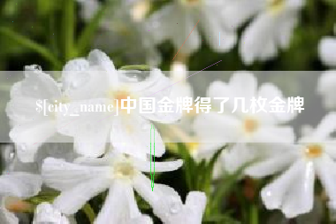 邳州中国金牌得了几枚金牌