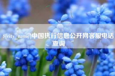 邳州中国执行信息公开网客服电话查询