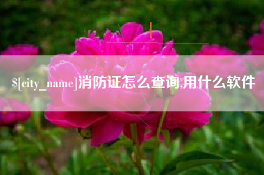 邳州消防证怎么查询,用什么软件