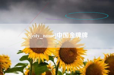 邳州中国金牌牌