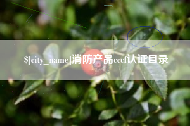 邳州消防产品cccf认证目录