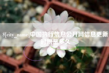 邳州中国执行信息公开网信息更新时间是多久