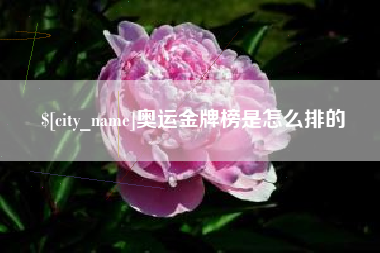 邳州奥运金牌榜是怎么排的