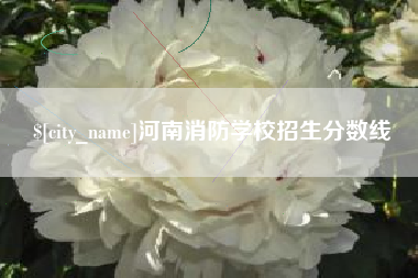 邳州河南消防学校招生分数线