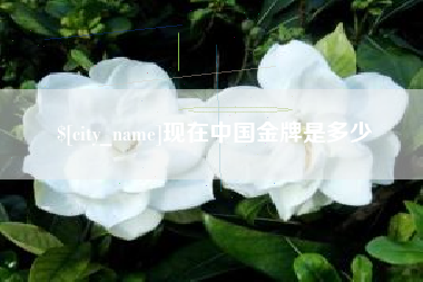 邳州现在中国金牌是多少