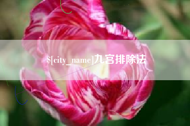 邳州九宫排除法