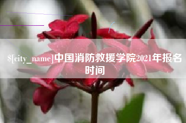 邳州中国消防救援学院2021年报名时间