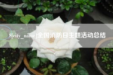 邳州全国消防日主题活动总结