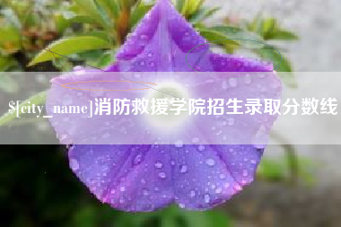 邳州消防救援学院招生录取分数线