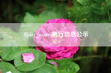 邳州执行信息公示