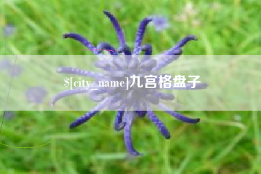 邳州九宫格盘子