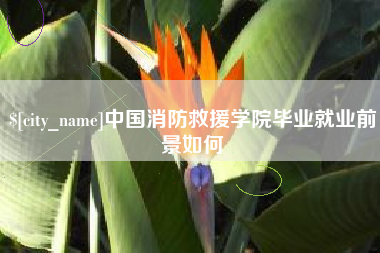 邳州中国消防救援学院毕业就业前景如何