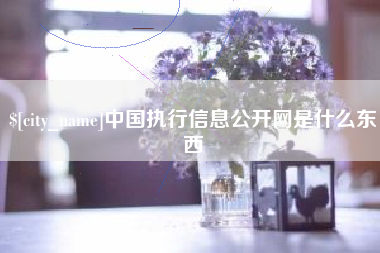 邳州中国执行信息公开网是什么东西