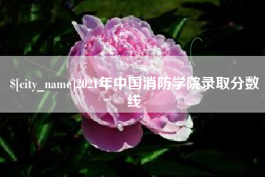 邳州2021年中国消防学院录取分数线