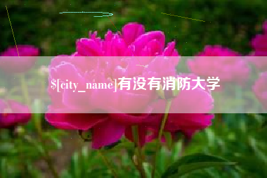 邳州有没有消防大学