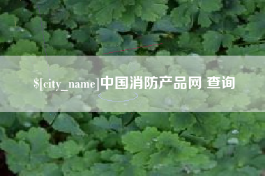 邳州中国消防产品网 查询
