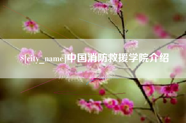 邳州中国消防救援学院介绍