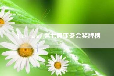 邳州第七届亚冬会奖牌榜