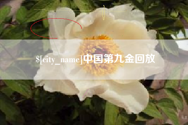 邳州中国第九金回放