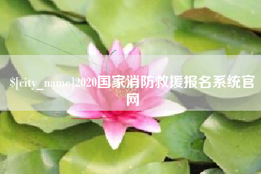邳州2020国家消防救援报名系统官网