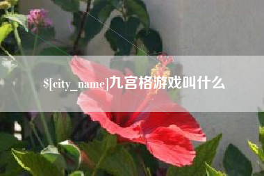 邳州九宫格游戏叫什么