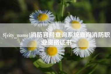 邳州消防官网查询系统查询消防职业资格证书