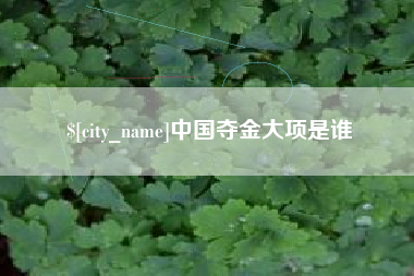 邳州中国夺金大项是谁