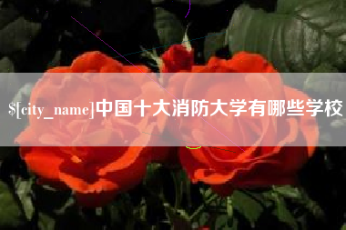 邳州中国十大消防大学有哪些学校