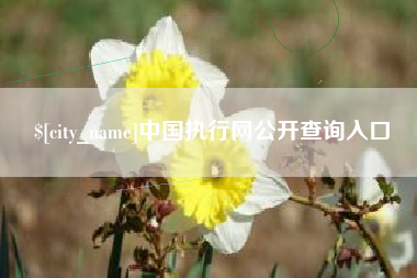邳州中国执行网公开查询入口