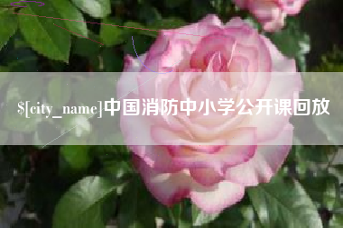 邳州中国消防中小学公开课回放