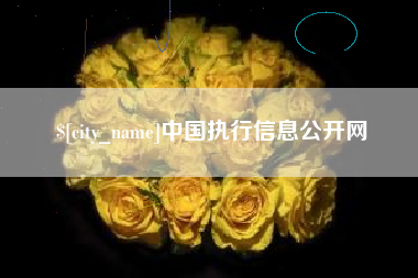 邳州中国执行信息公开网