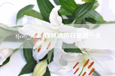 邳州森林消防日是哪一天