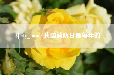 邳州我国消防日是每年的