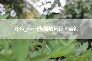 邳州失信被执行人杳询