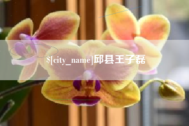 邳州邱县王子磊