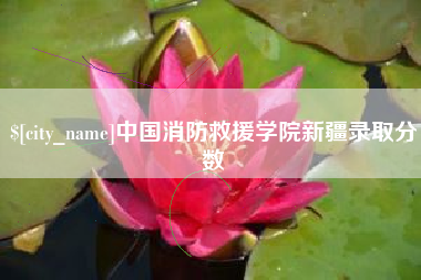 邳州中国消防救援学院新疆录取分数