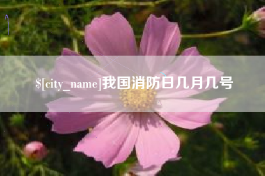 邳州我国消防日几月几号
