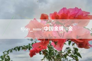 邳州中国金牌18金