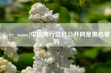 邳州中国执行信息公开网是黑名单吗