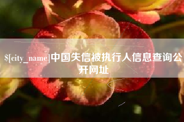 邳州中国失信被执行人信息查询公开网址