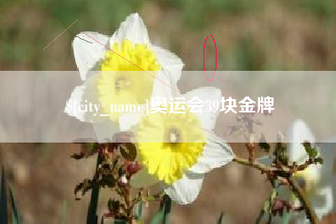 邳州奥运会39块金牌