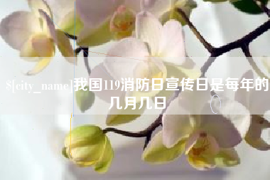 邳州我国119消防日宣传日是每年的几月几日