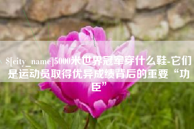 邳州5000米世界冠军穿什么鞋-它们是运动员取得优异成绩背后的重要“功臣”