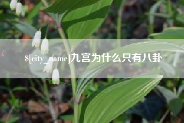 邳州九宫为什么只有八卦