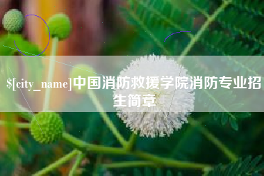 邳州中国消防救援学院消防专业招生简章