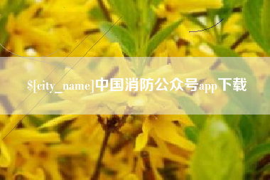 邳州中国消防公众号app下载